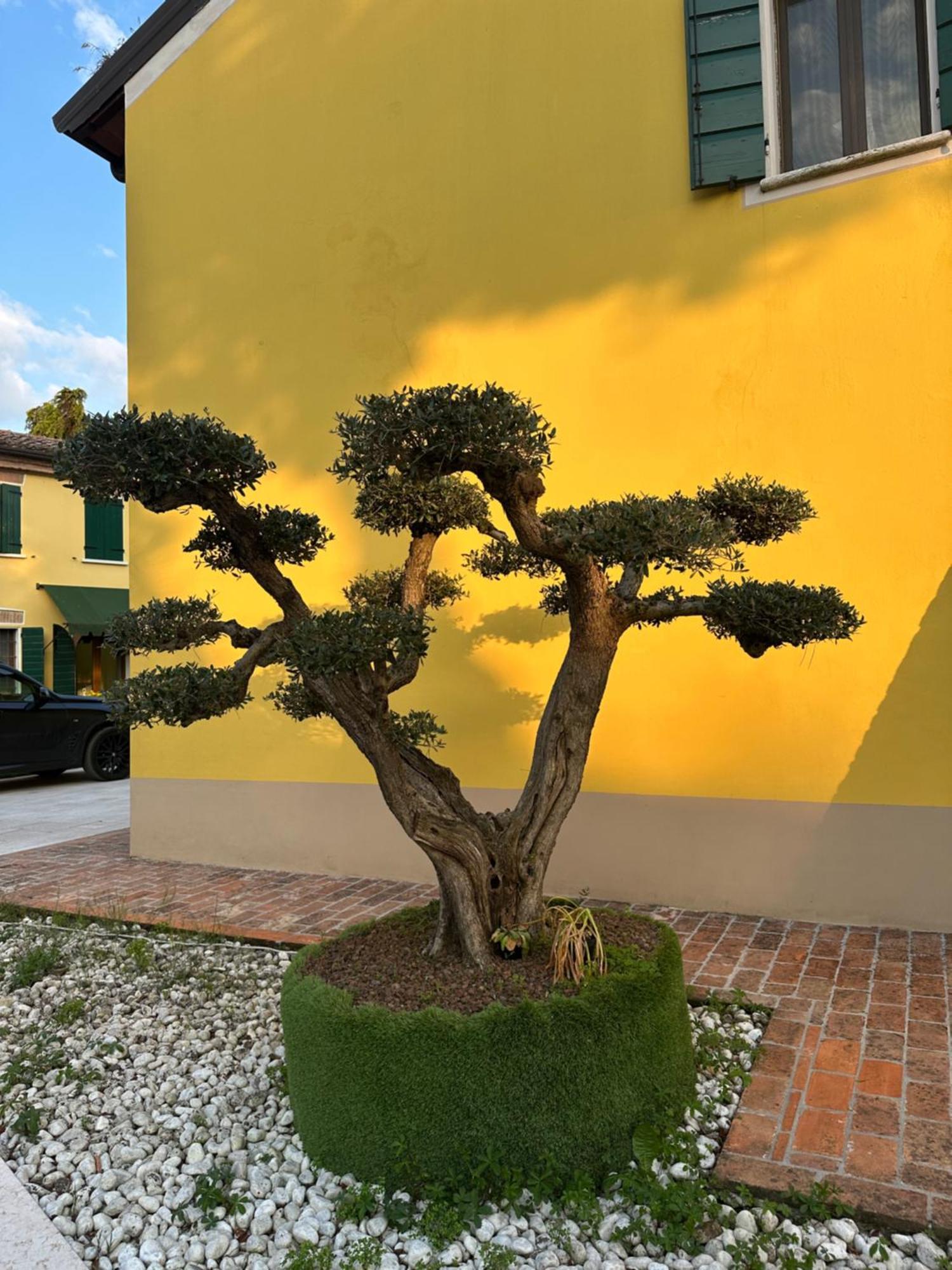 Curtatone Agriturismo Corte Capiluppia מראה חיצוני תמונה