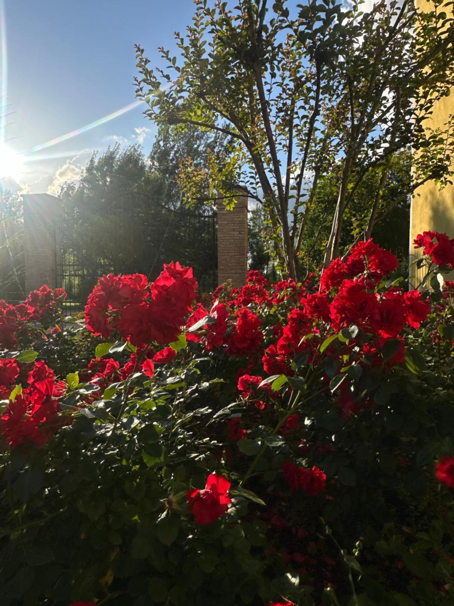 Curtatone Agriturismo Corte Capiluppia מראה חיצוני תמונה