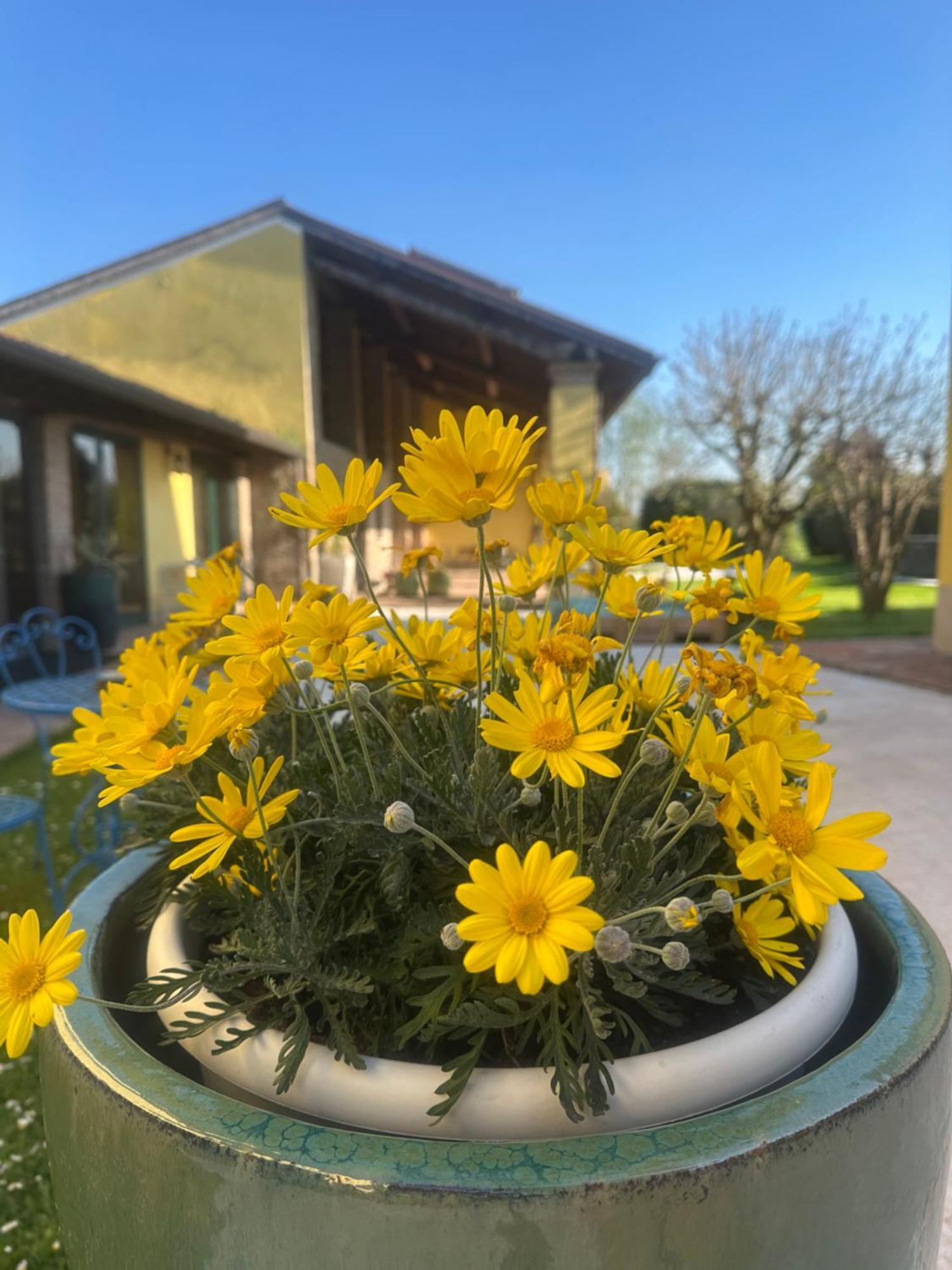 Curtatone Agriturismo Corte Capiluppia מראה חיצוני תמונה