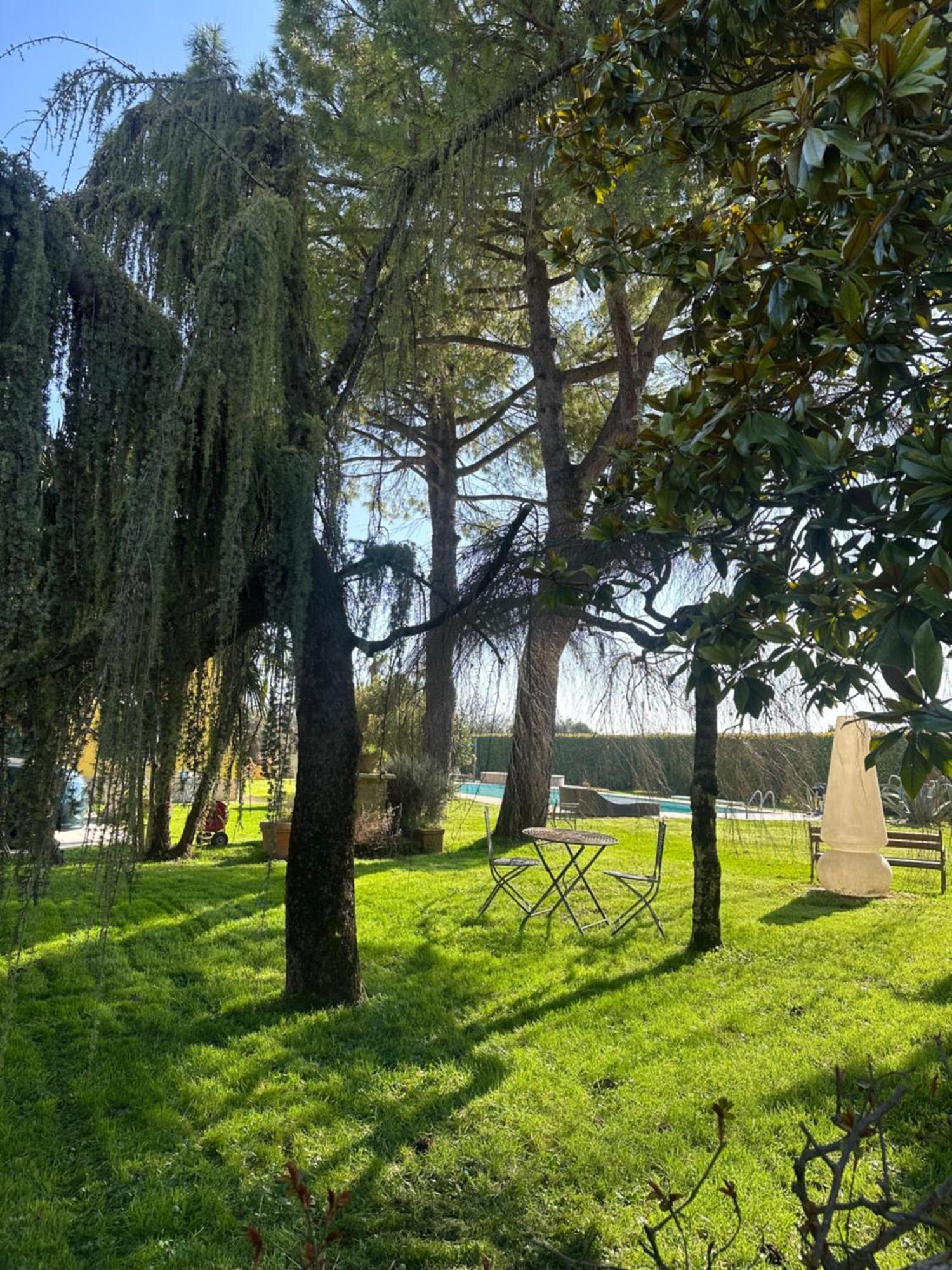 Curtatone Agriturismo Corte Capiluppia מראה חיצוני תמונה
